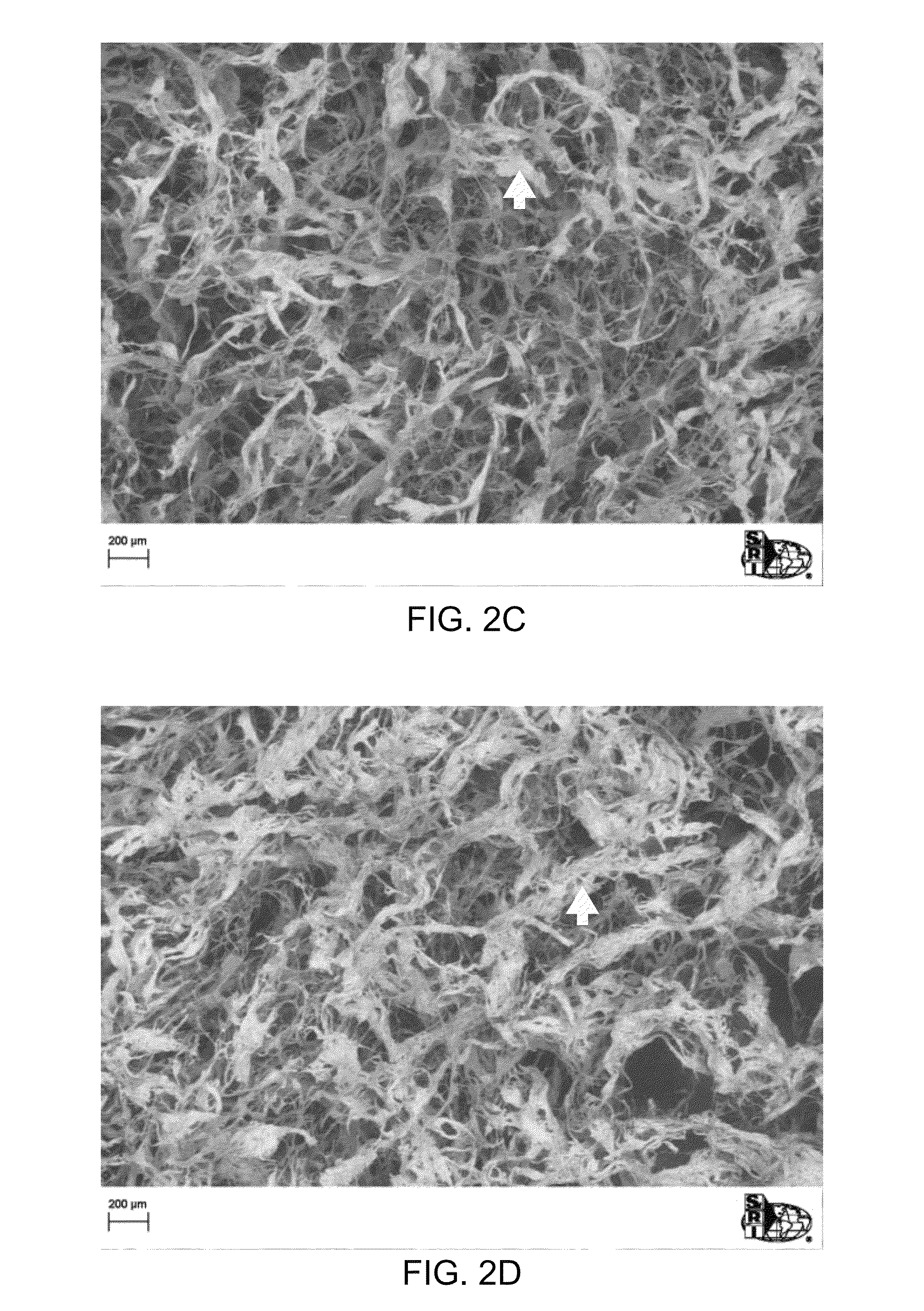 Fabrication of bone regeneration scaffolds and bone filler material using a perfusion flow system