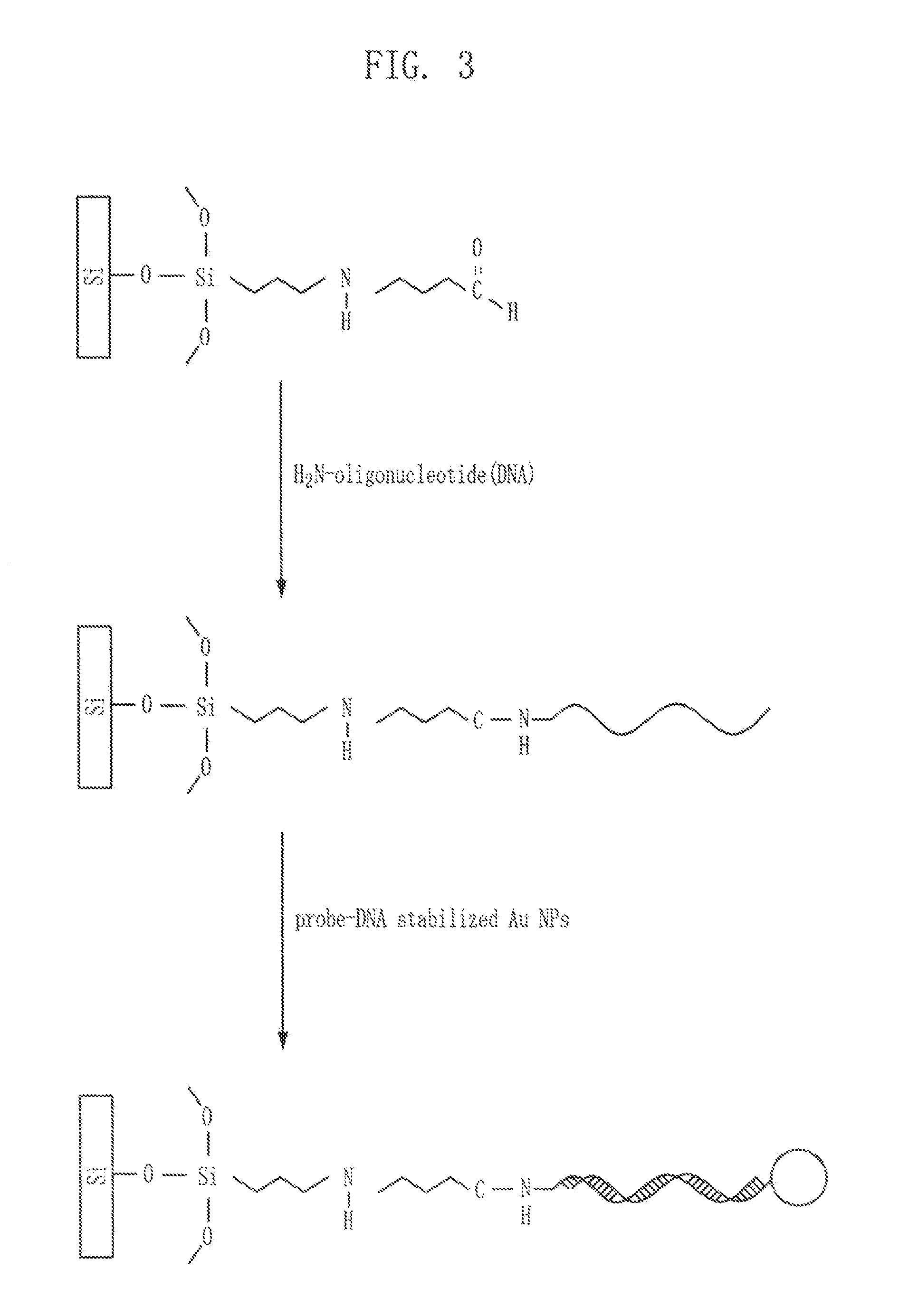 Substrate for analyzing coverage of self-assembled molecules and analyzing method using the same