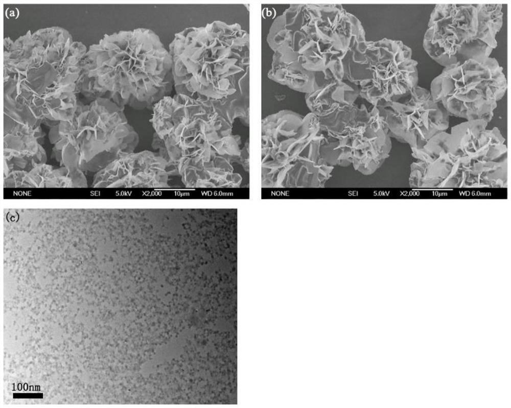 Laccase-nanoflower-gamma-Fe2O3 copper alginate gel beads and preparation method and application thereof