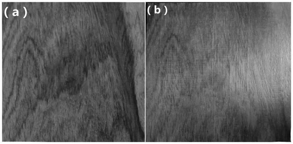 A kind of wood furniture coating and preparation method thereof