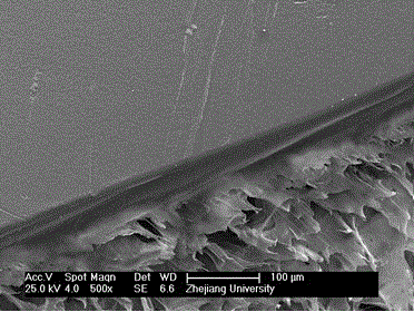 Artificial bile duct bionic stent with double-layered compound structure and preparation method of artificial bile duct bionic stent