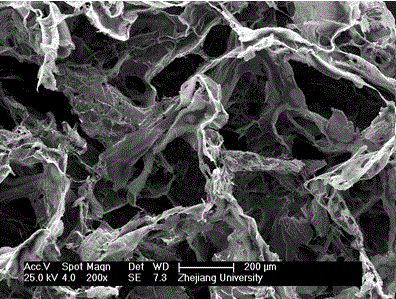 Artificial bile duct bionic stent with double-layered compound structure and preparation method of artificial bile duct bionic stent