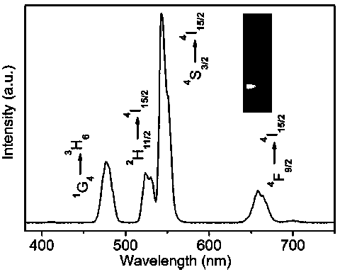 Composite upconversion nanoprobe with multicolor luminescent spectrums and preparation method and application of composite upconversion nanoprobe
