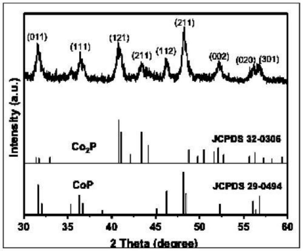 A COP/CO with high HER and OER catalytic activity  <sub>2</sub> The preparation method of p composite catalyst