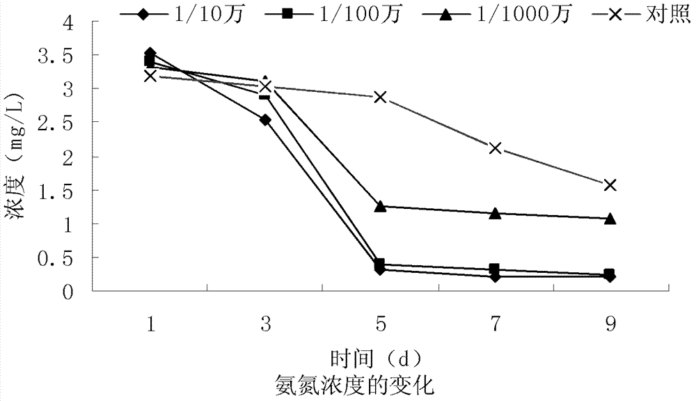 Method for repairing micro-polluted water body by utilizing bottom mud biological agent
