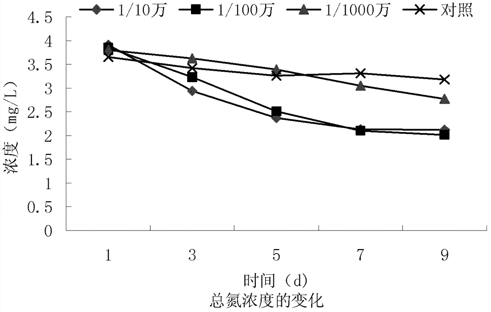 Method for repairing micro-polluted water body by utilizing bottom mud biological agent