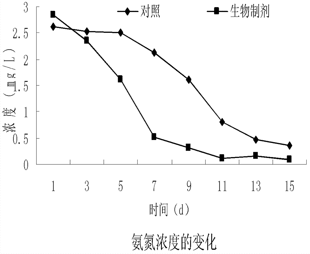 Method for repairing micro-polluted water body by utilizing bottom mud biological agent