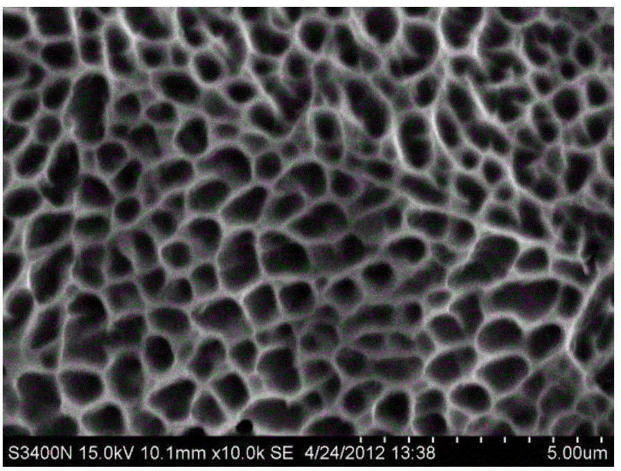 Method for preparing ordered micropore structure on stainless steel surface