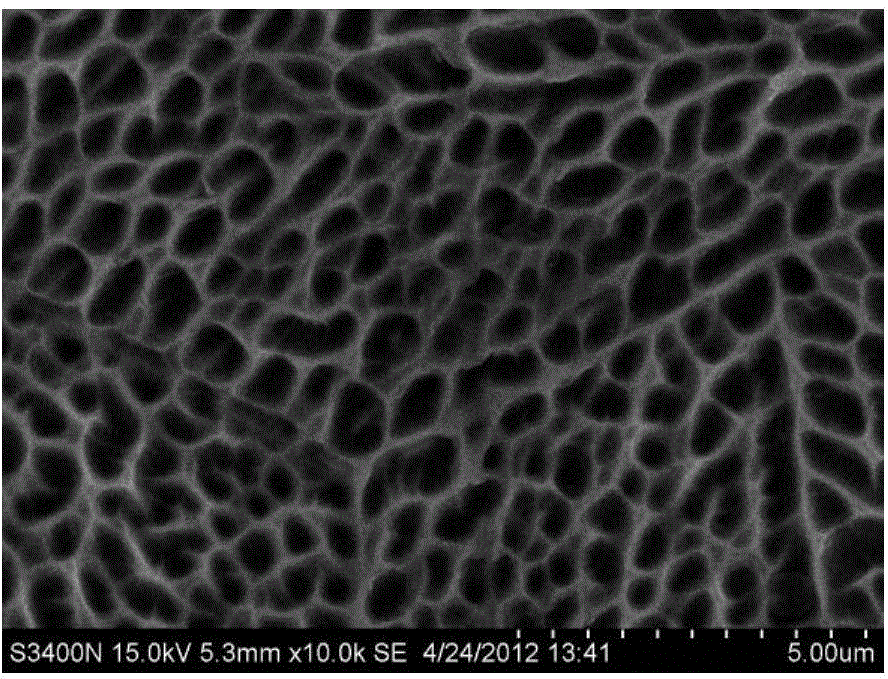 Method for preparing ordered micropore structure on stainless steel surface