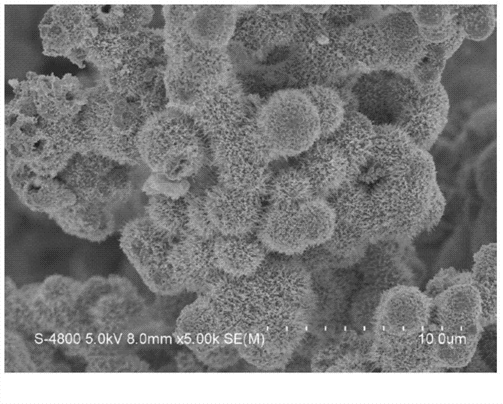 Micron-size nickel phosphide material as well as preparation method and application of micron-size nickel phosphide material