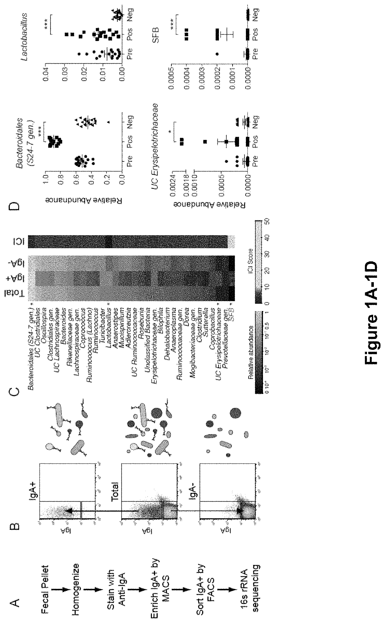 Compositions and methods for treating an inflammatory disease or disorder