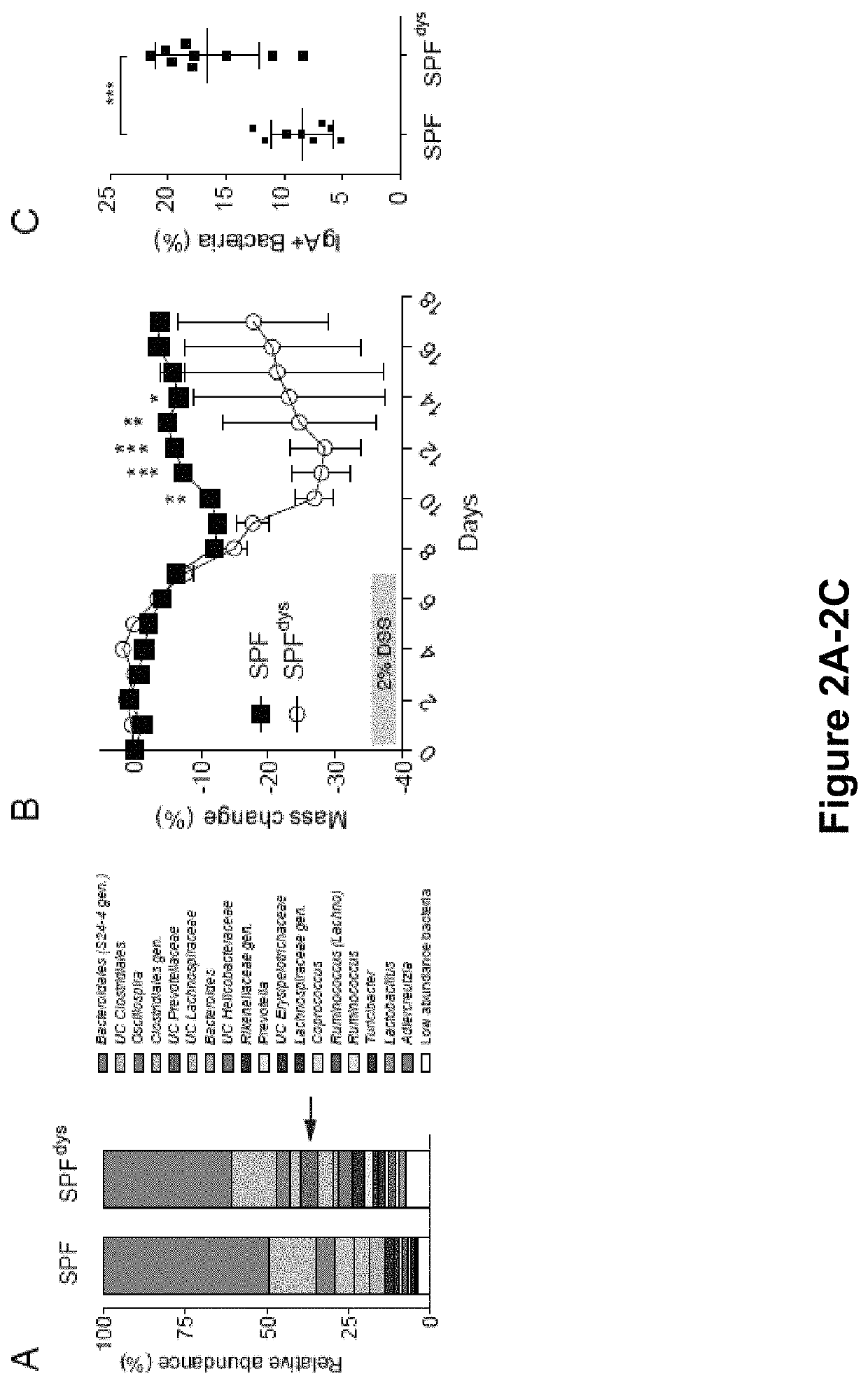 Compositions and methods for treating an inflammatory disease or disorder