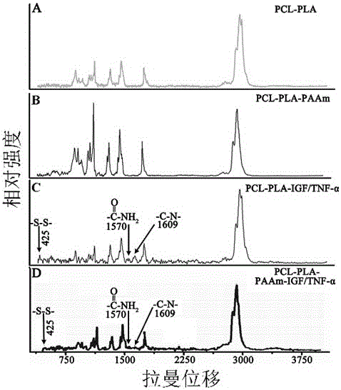 Preparation and application of pcl-pla tissue engineering composite scaffold against hepatocyte senescence