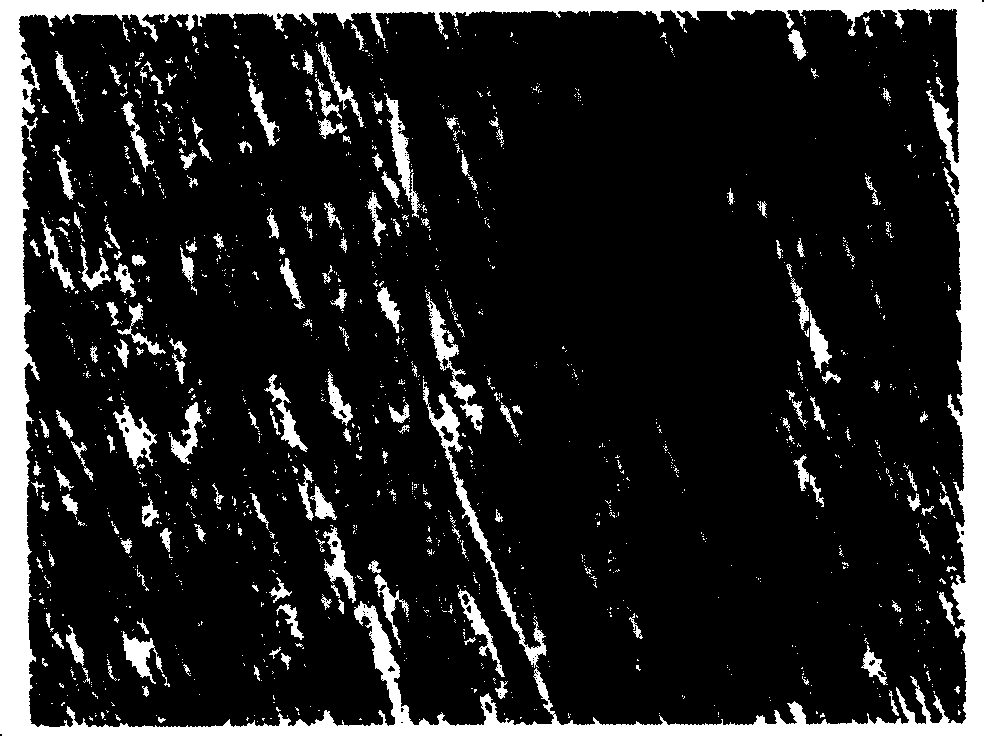 Method for chemical plating of nickel-boron alloy on magnesium alloy surface