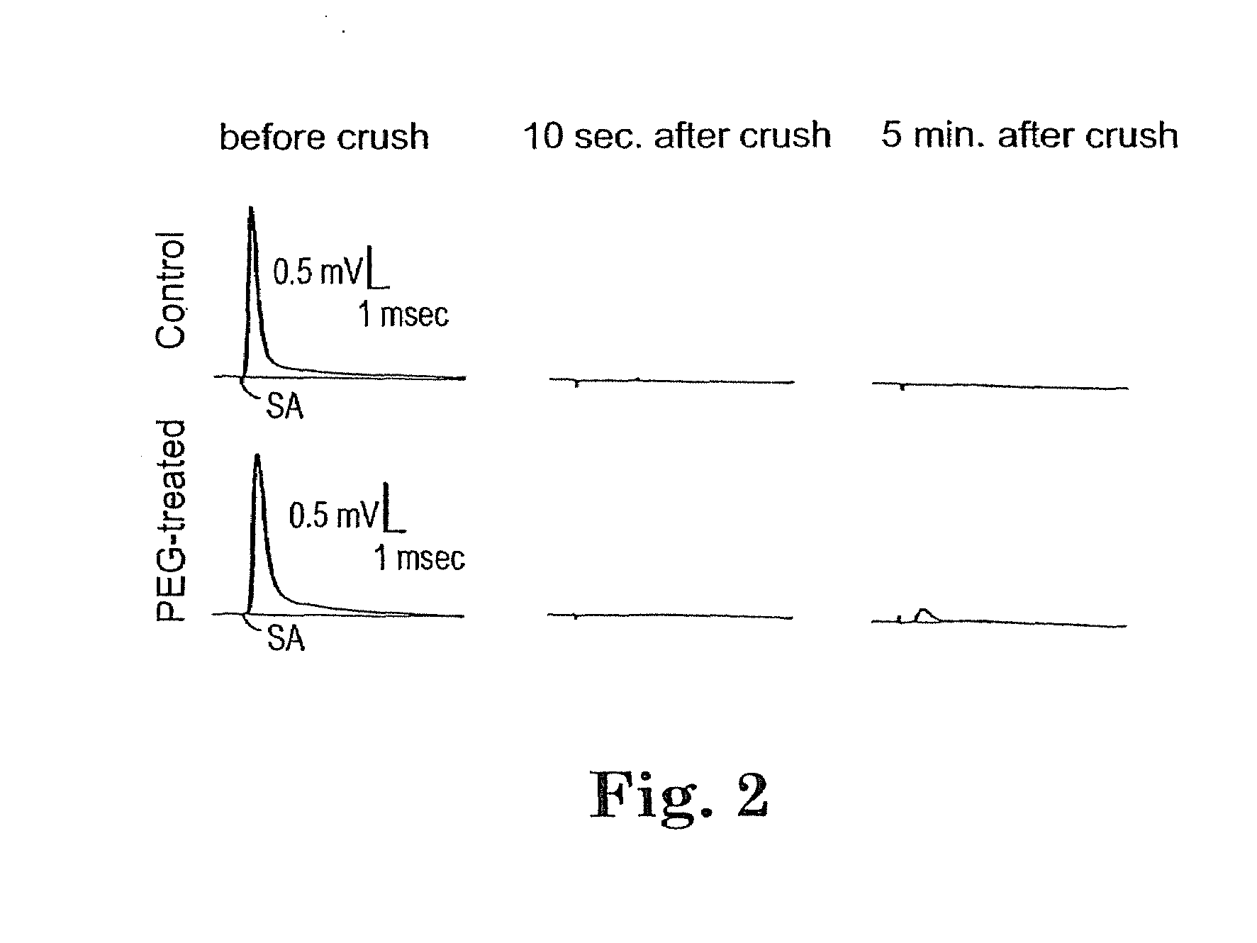 Methods and Compositions for Treating Mammalian Nerve Tissue Injuries