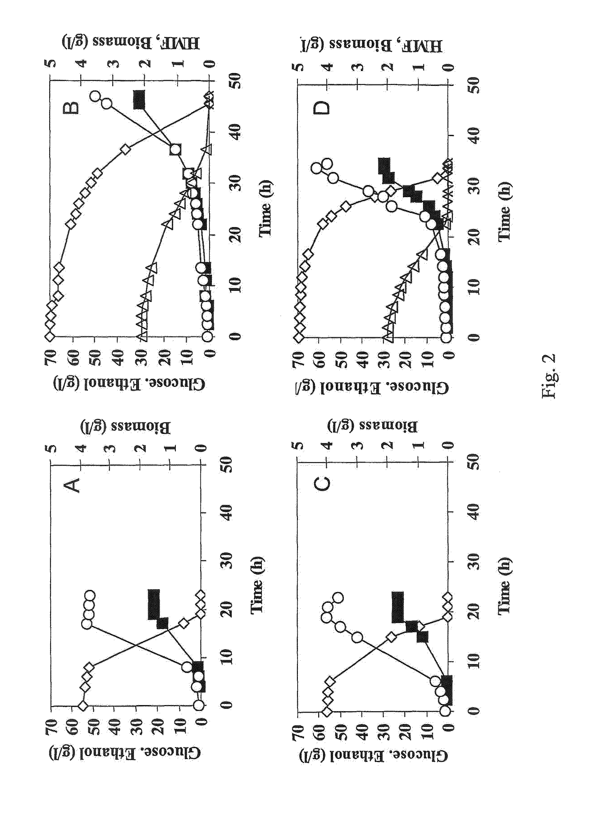 Polypeptide having hadh dependent hmf reductase activity