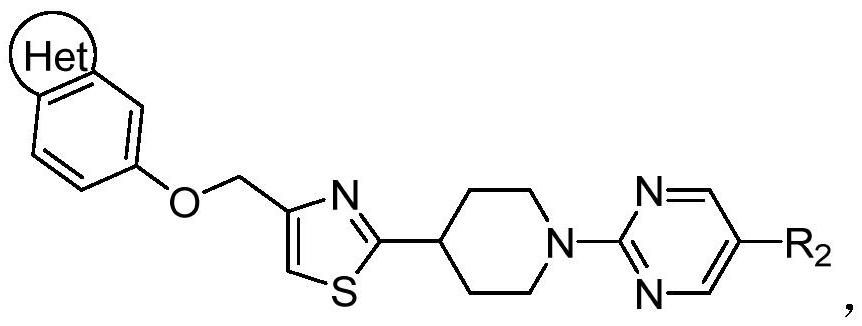 Novel benzoheterocyclic ether derivative, preparation method thereof and application of novel benzoheterocyclic ether derivative in hypoglycemic drugs