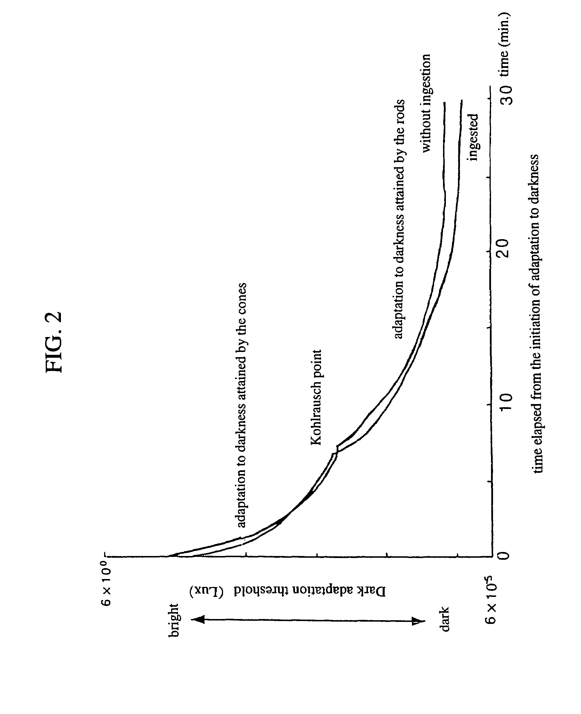 Compositions for foods, process for producing the same and functional foods and drinks containing the same