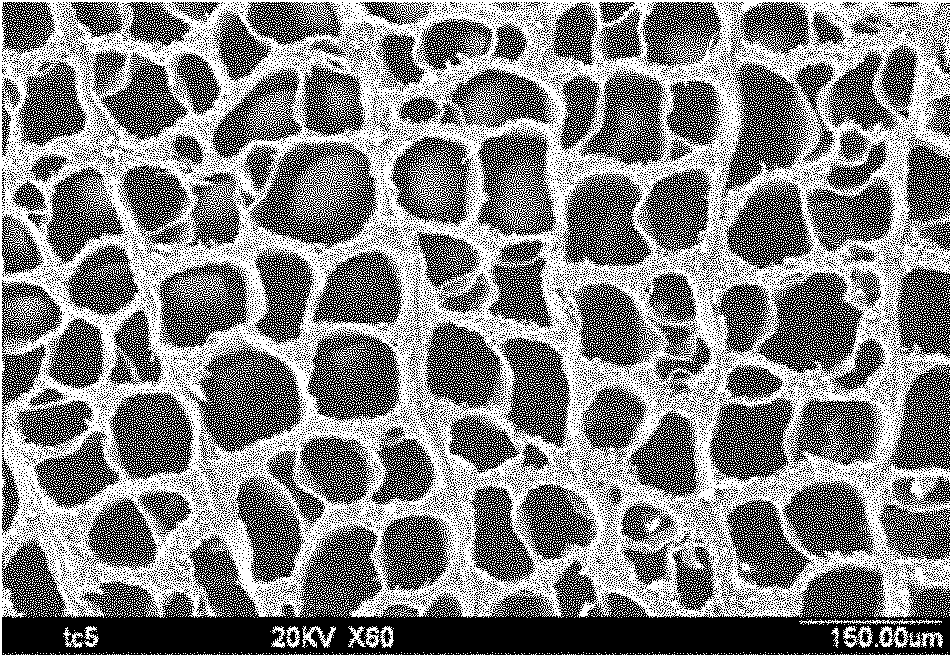 Honeycomb polymer-based bionic porous scaffold material and preparation method thereof