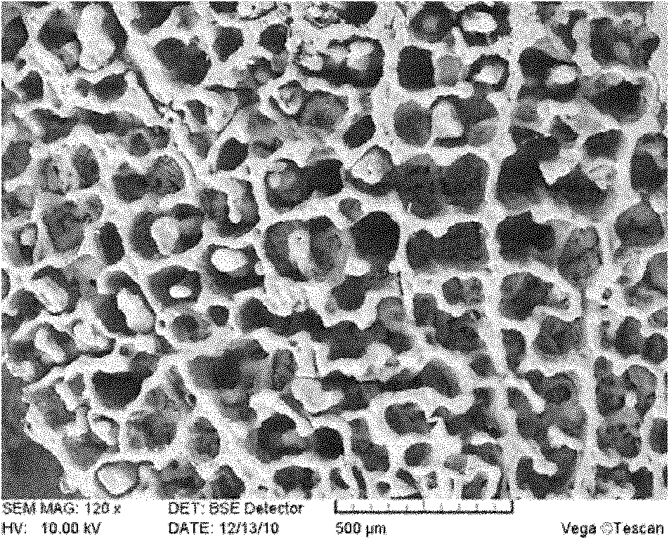 Honeycomb polymer-based bionic porous scaffold material and preparation method thereof