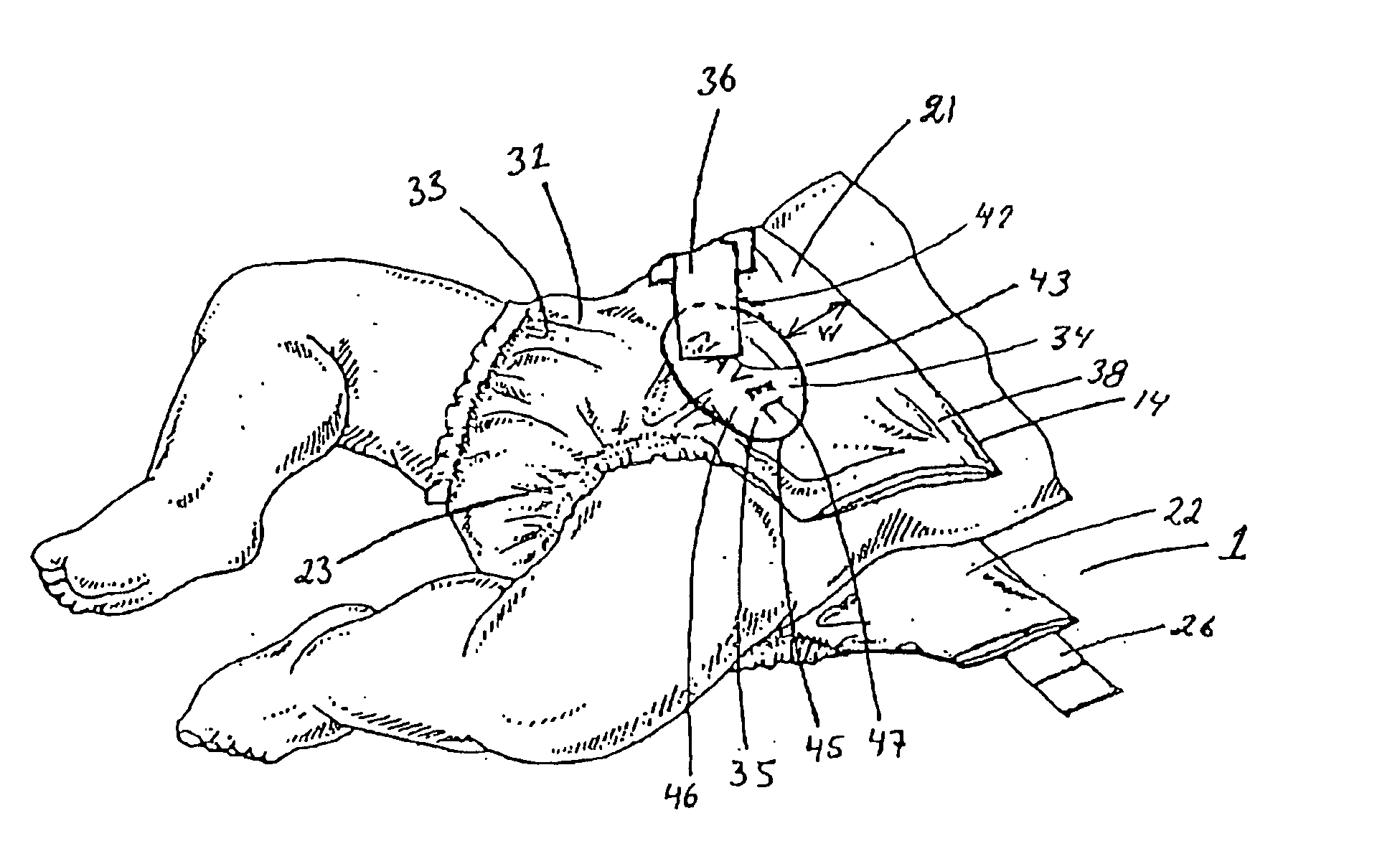 Absorbent article for newborns and method of indicating a fixing position thereon