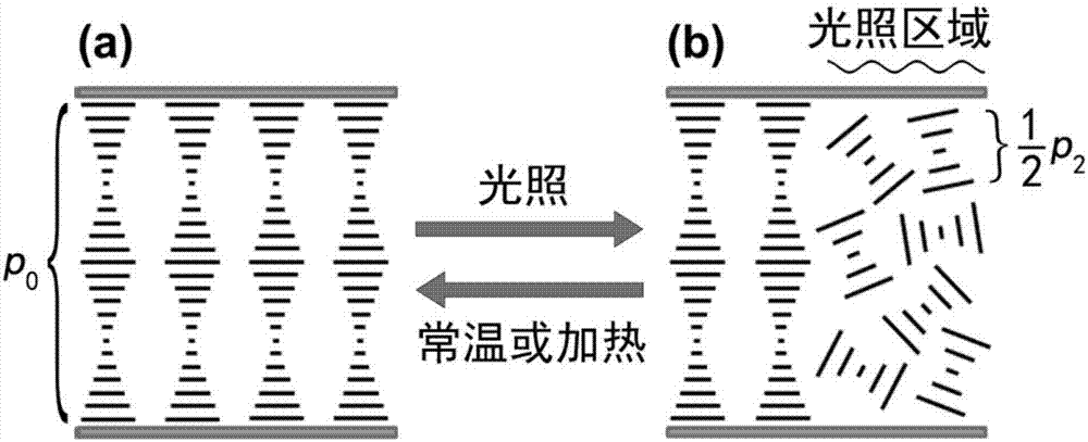 Bistable liquid crystal device with optical writing or optical erasing function and preparation method thereof