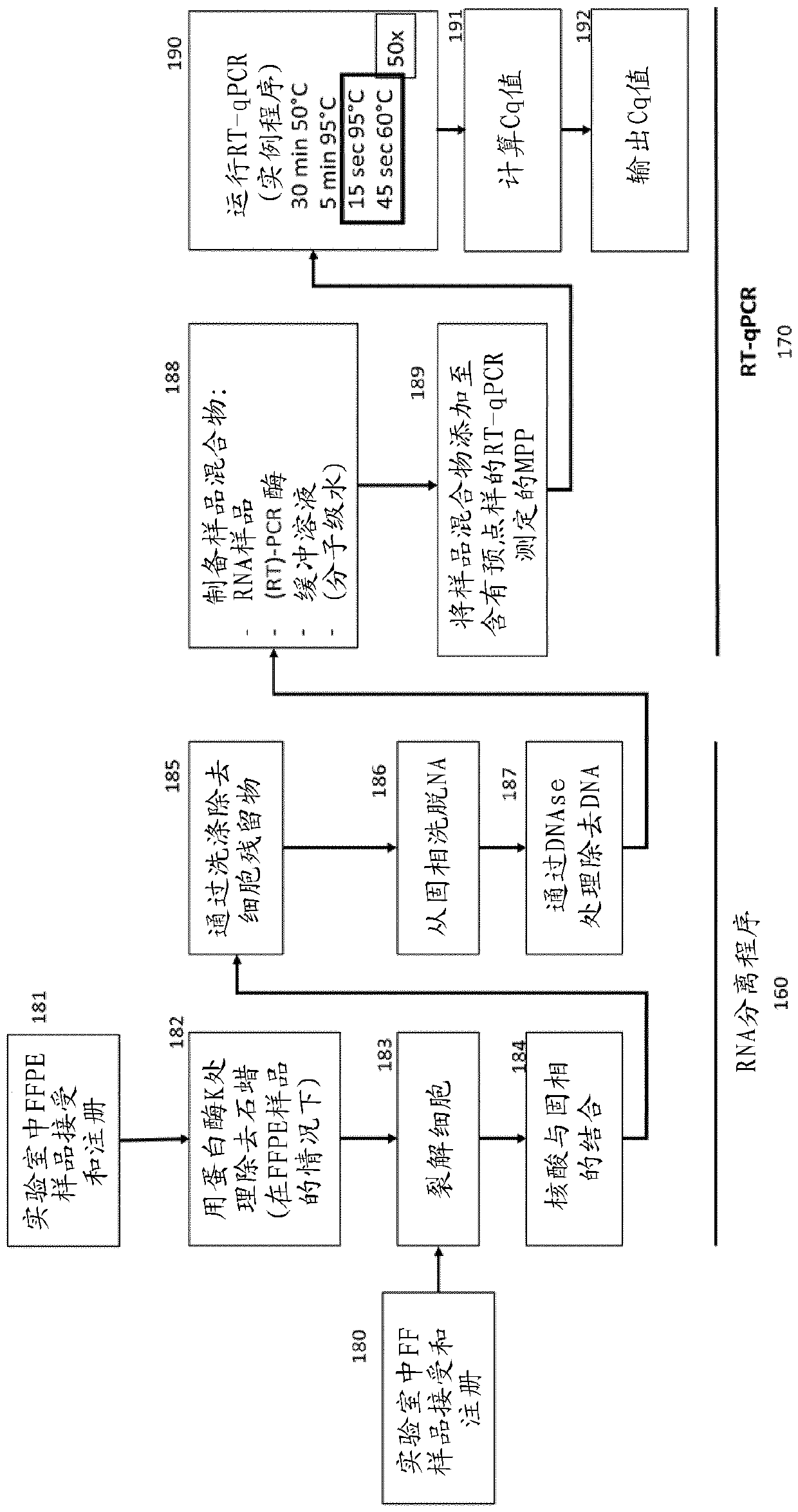 Medical prognosis and prediction of treatment response using multiple cellular signaling pathway activities