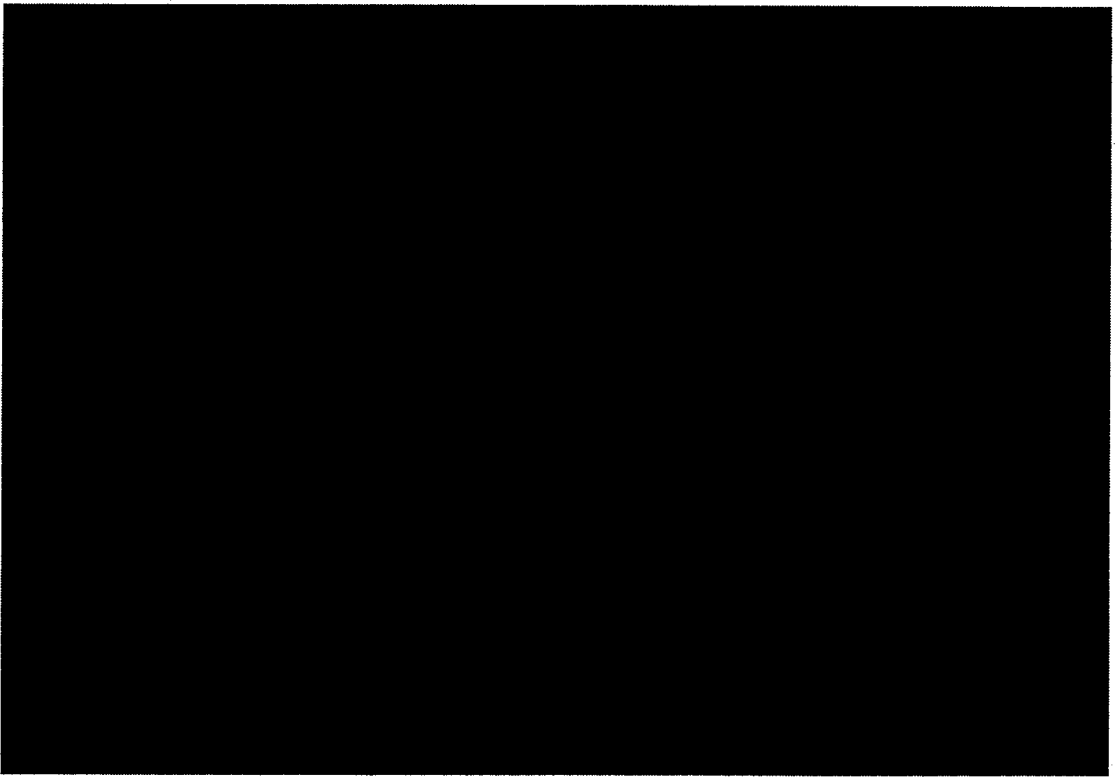 Method for forming block from divided sponge organs