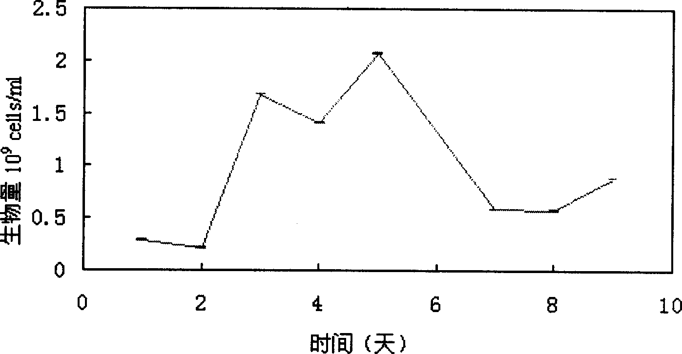 Method for forming block from divided sponge organs