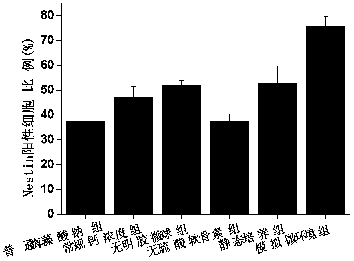 A method for promoting the directed differentiation and proliferation of mesenchymal stem cells to neural precursor cells