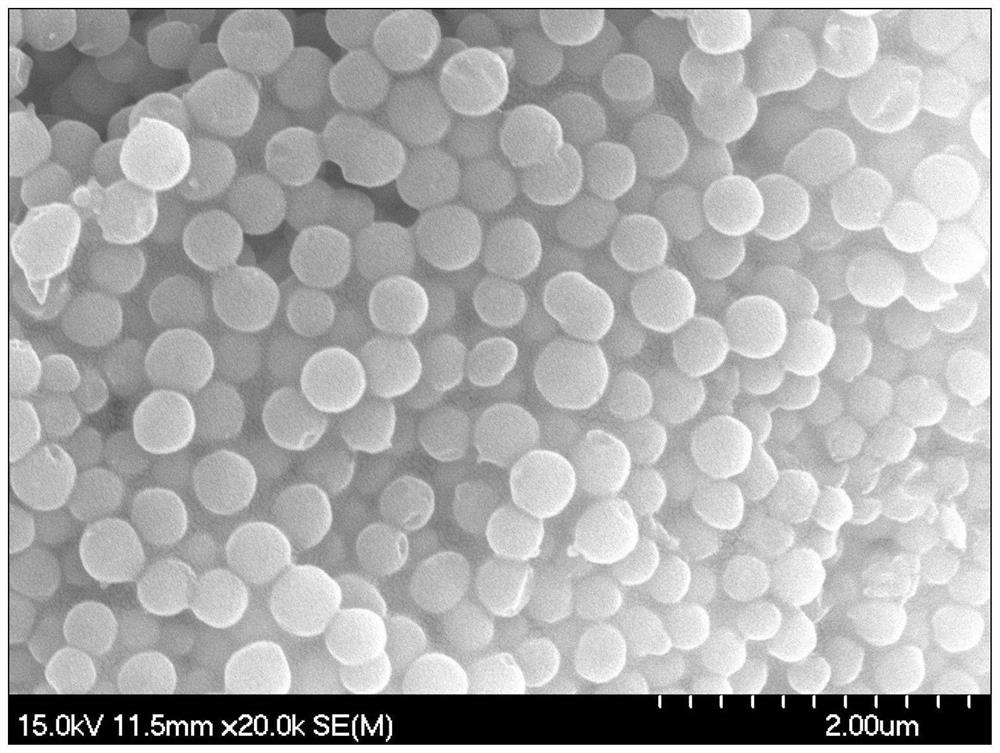 Preparation method of raspberry-shaped SiCxNyOz microspheres converted by polysilazane