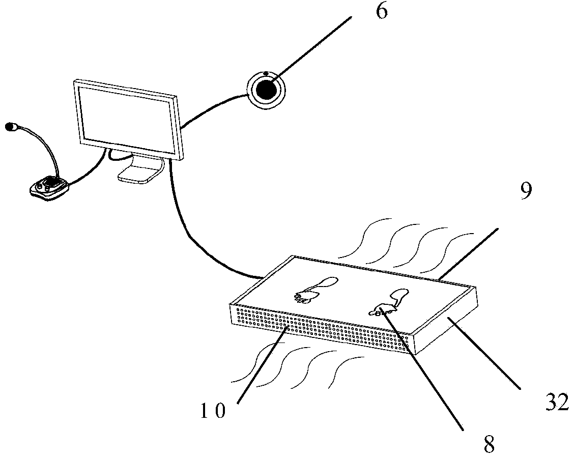 Thermal image detection device and detection method for peripheral vascular diseases