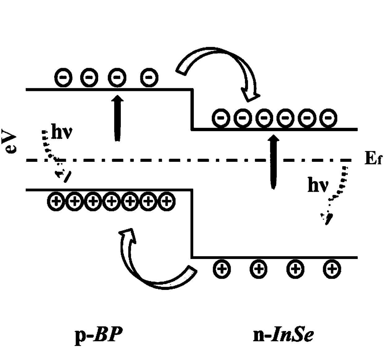 Optical detector of Van der Waals heterojunction based on two-dimensional indium selenide and black phosphorus and manufacturing thereof