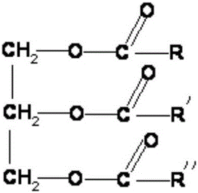 A kind of tung oil composite paint that absorbs formaldehyde and preparation method thereof