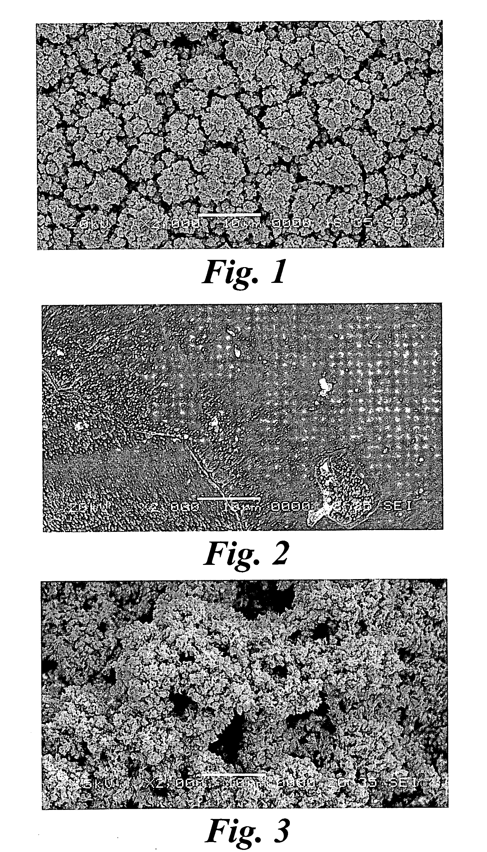 Platinum surface coating and method for manufacturing the same