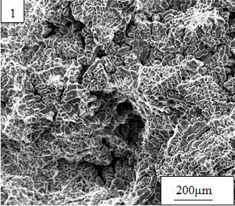 Method for preparing nano SiC and Yb reinforced A356.2 alloy