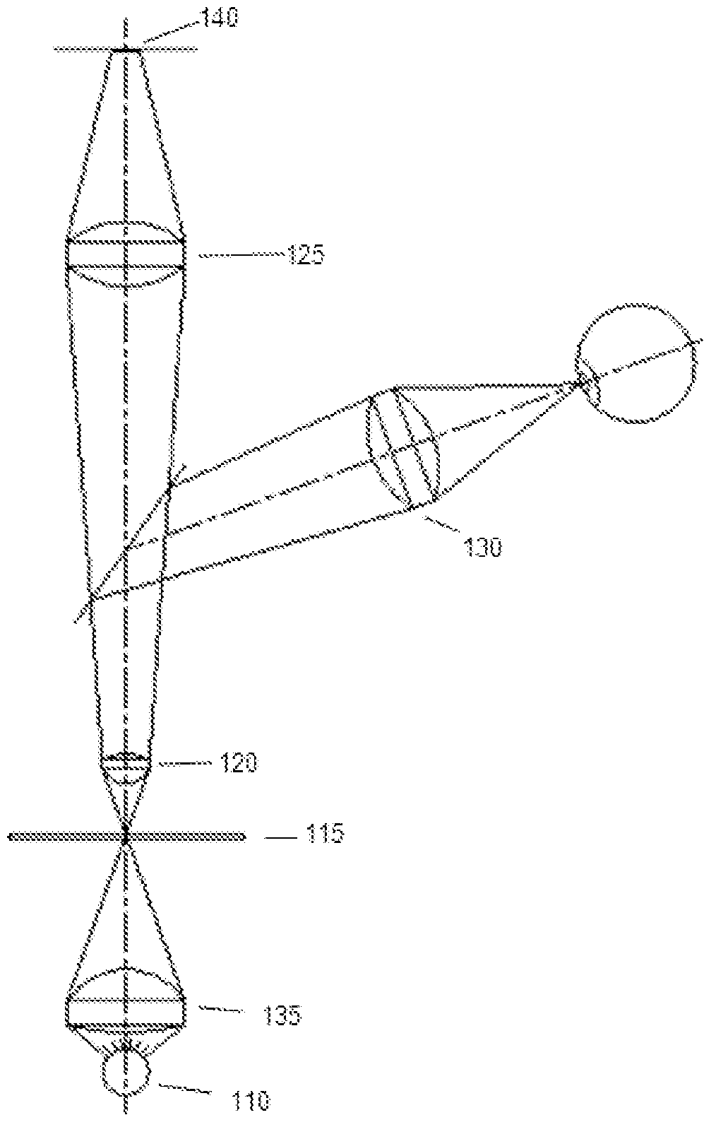 System and method for time-related microscopy of biological organisms