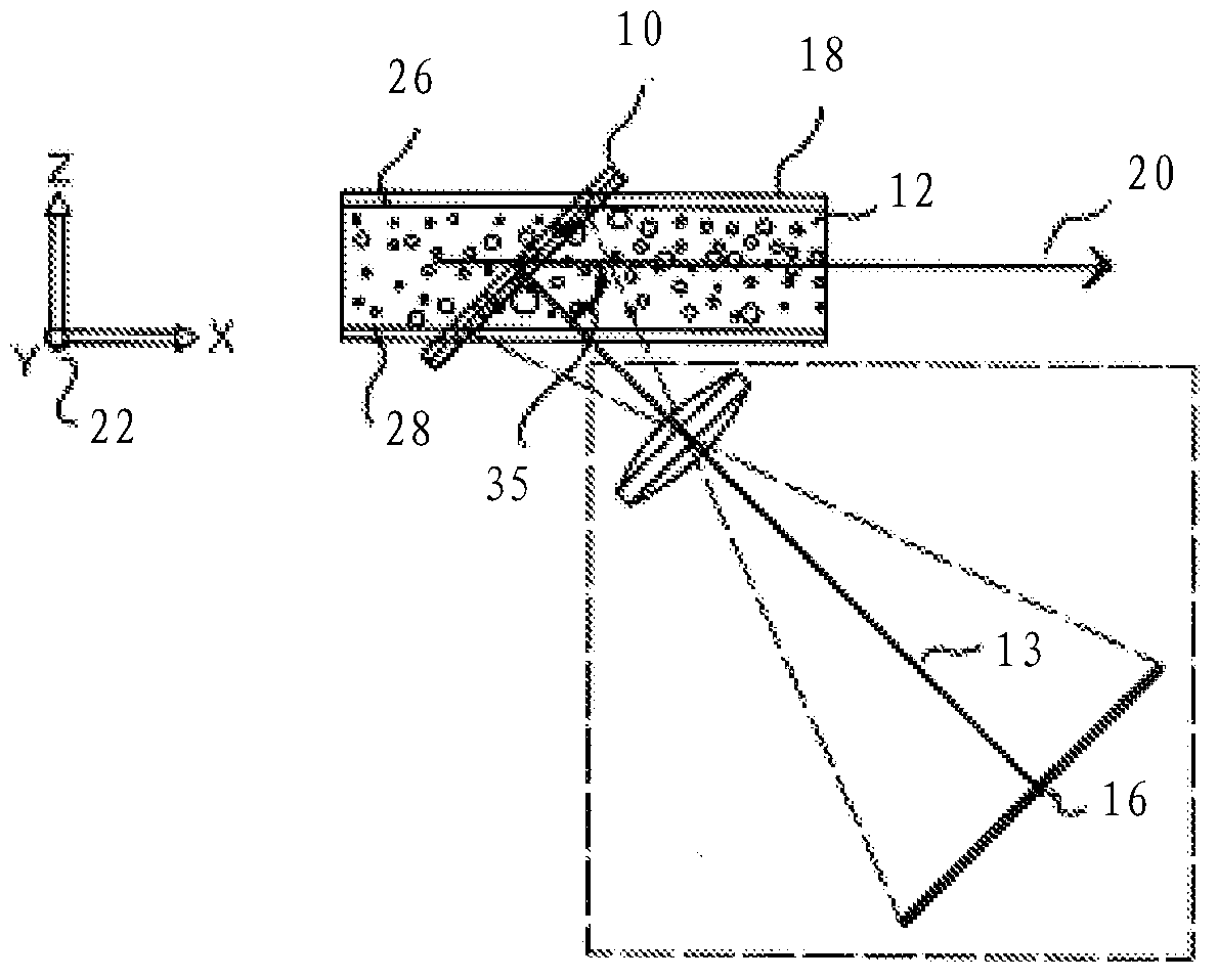 System and method for time-related microscopy of biological organisms