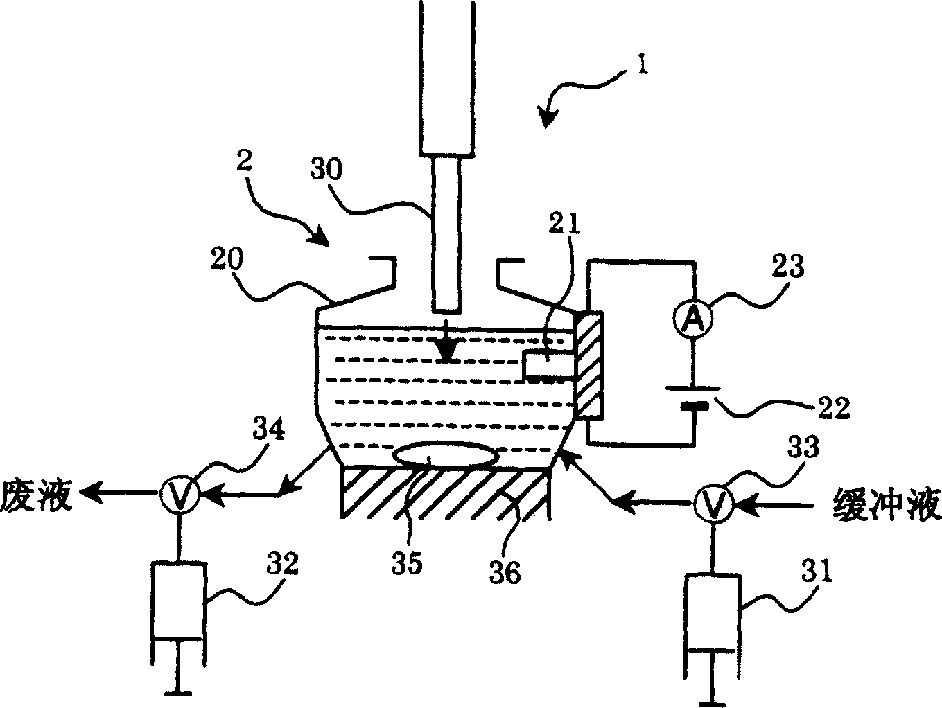 Method and apparatus for measuring concentration of blood sampler special component