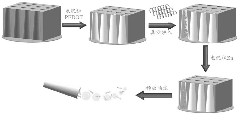 A kind of preparation method of multistage micro-nano motor