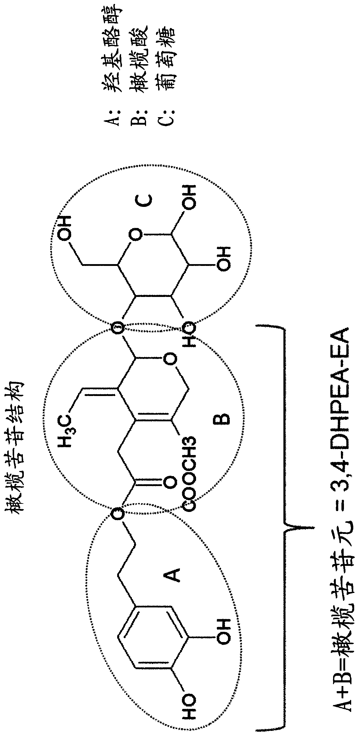 bioconversion-of-oleuropein-eureka-patsnap-develop-intelligence-library