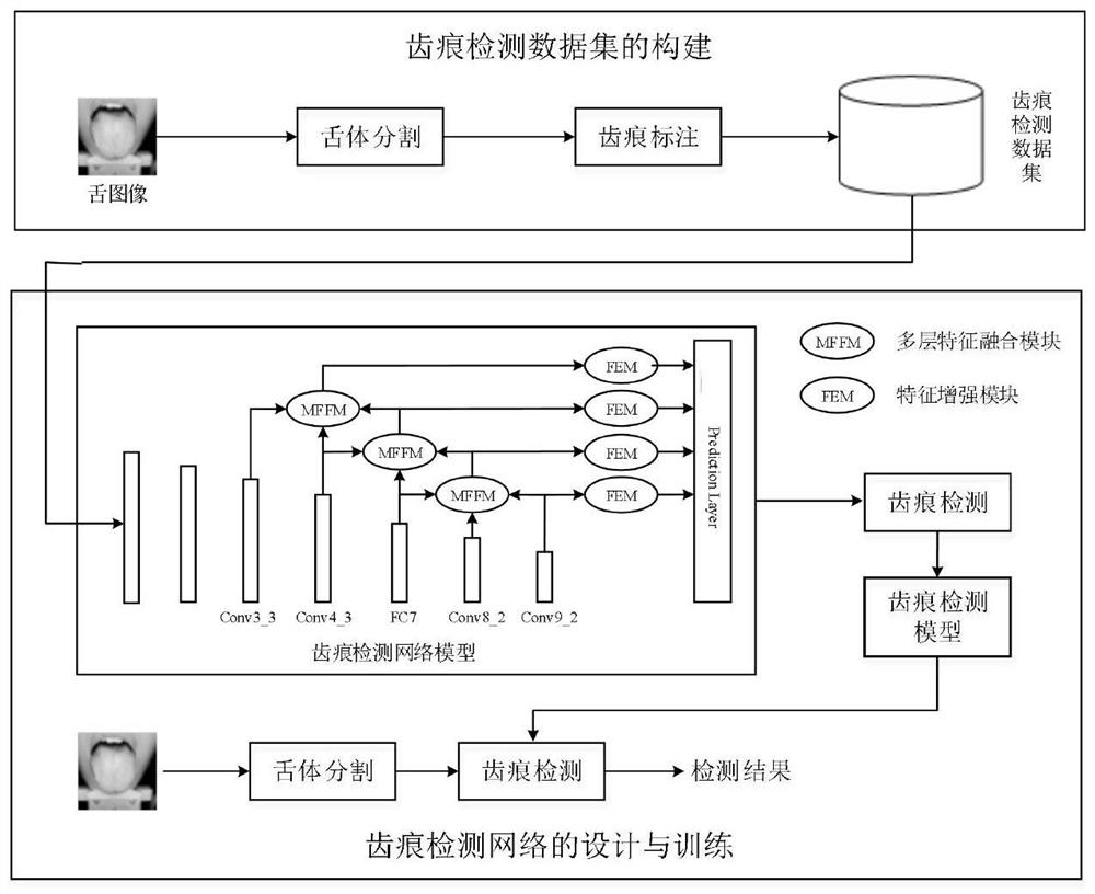 Traditional Chinese medicine tongue image tooth mark automatic detection method based on convolutional neural network multi-scale feature fusion