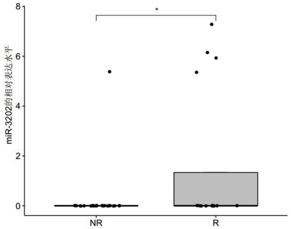 Marker related to sensitivity of lung adenocarcinoma to platinum-containing double-drug chemotherapy and application of marker