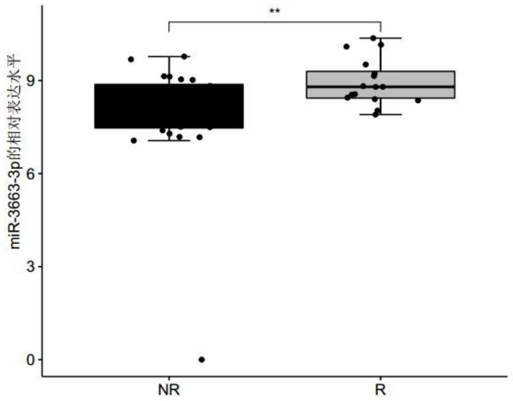 Marker related to sensitivity of lung adenocarcinoma to platinum-containing double-drug chemotherapy and application of marker