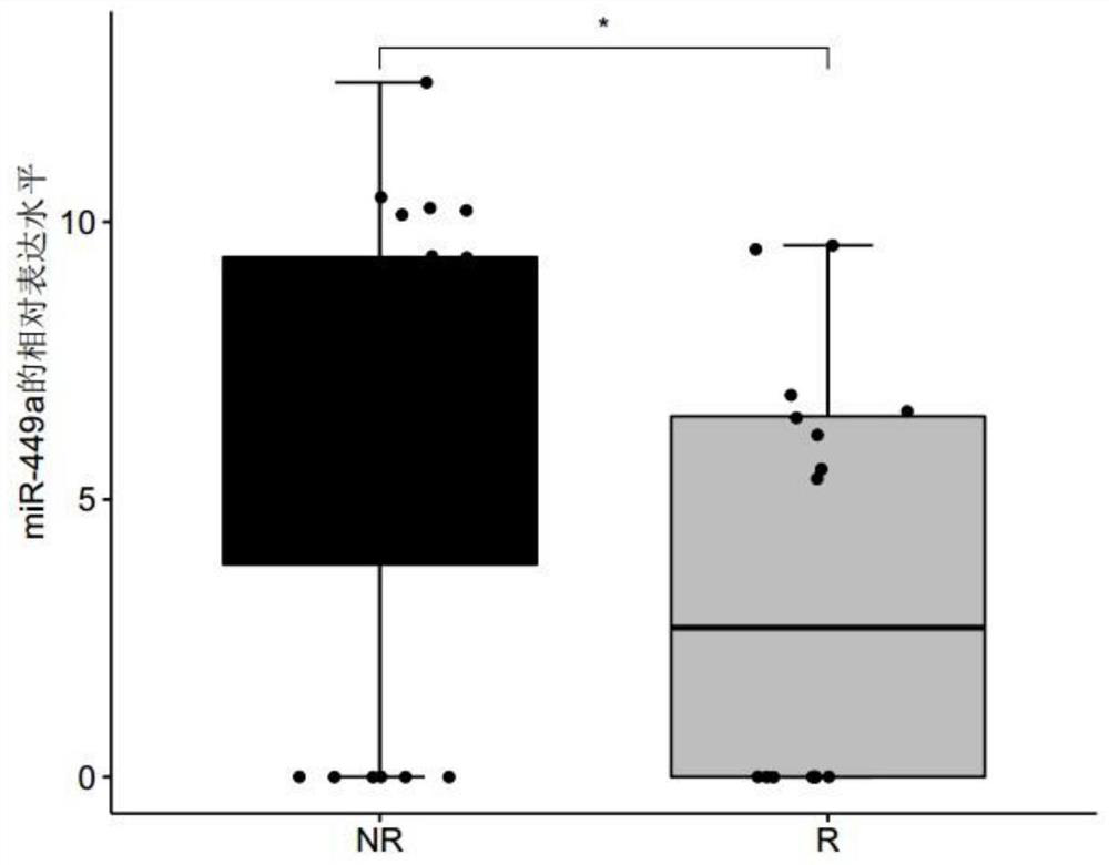 Marker related to sensitivity of lung adenocarcinoma to platinum-containing double-drug chemotherapy and application of marker