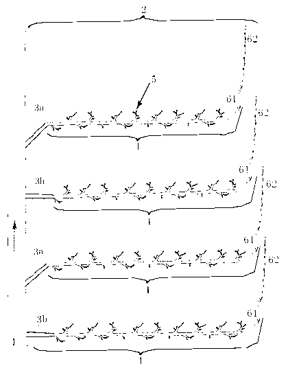 Novel shed pear tree fruiting branch group and culturing method thereof