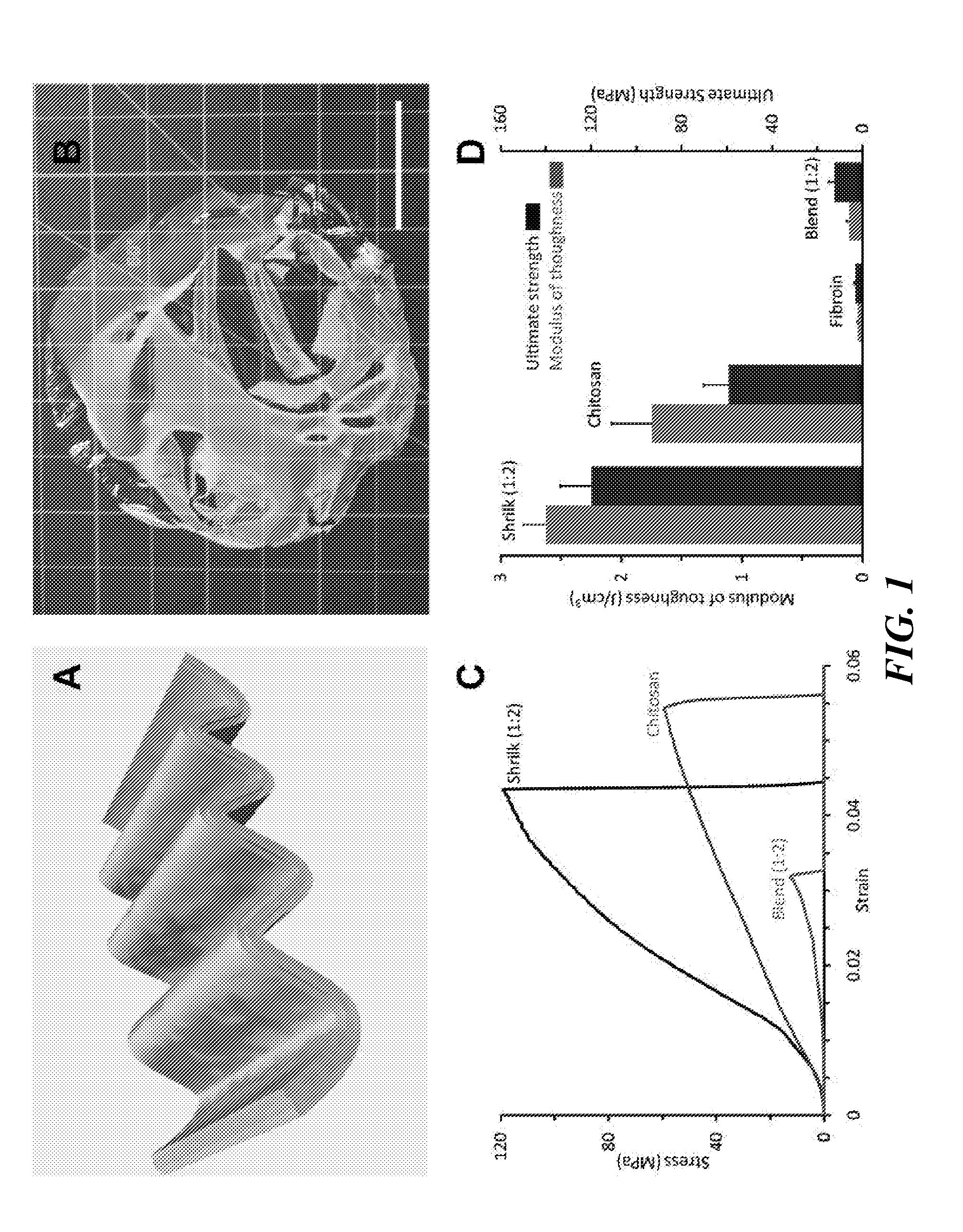 High strength chitin composite material and method of making