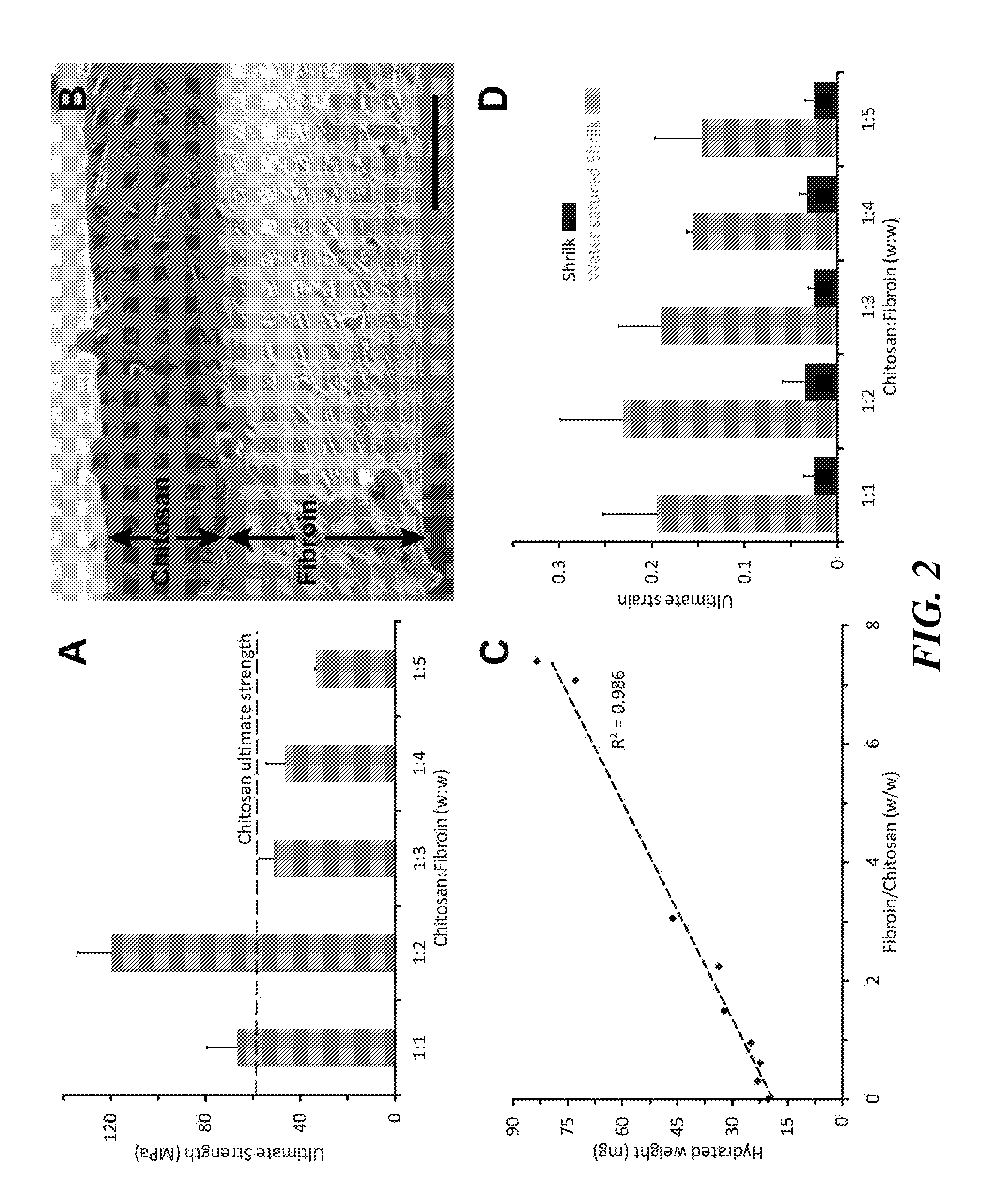 High strength chitin composite material and method of making