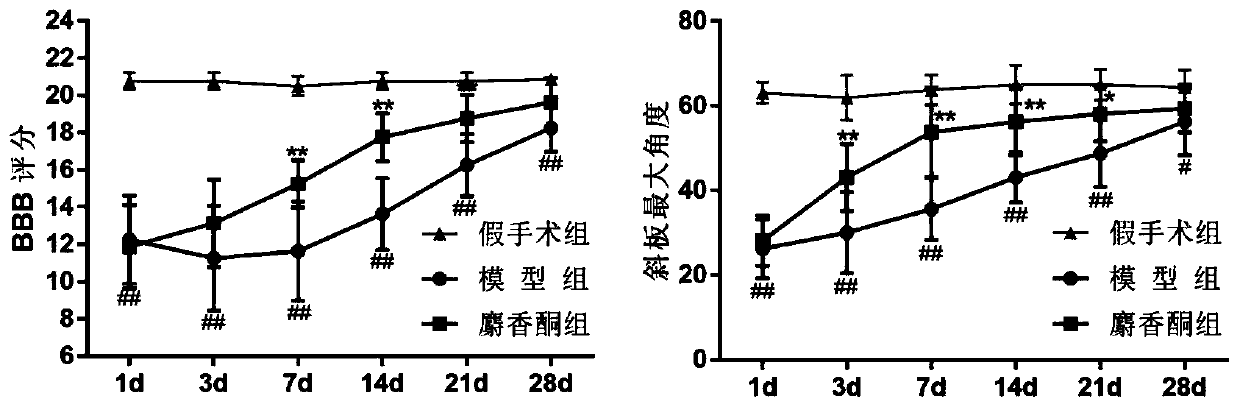 A kind of medicine for preventing and treating cervical spondylotic myelopathy and use thereof