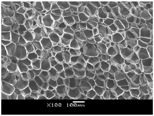A kind of thermoplastic polymer foam beads and preparation method thereof